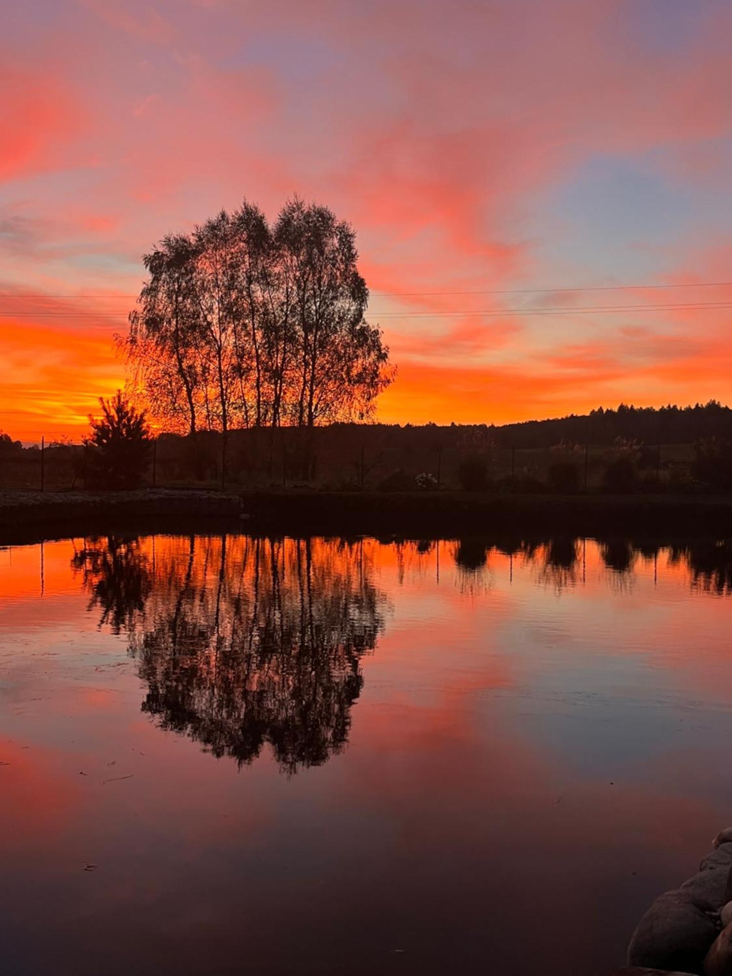 Vila Тракай Екстериор снимка